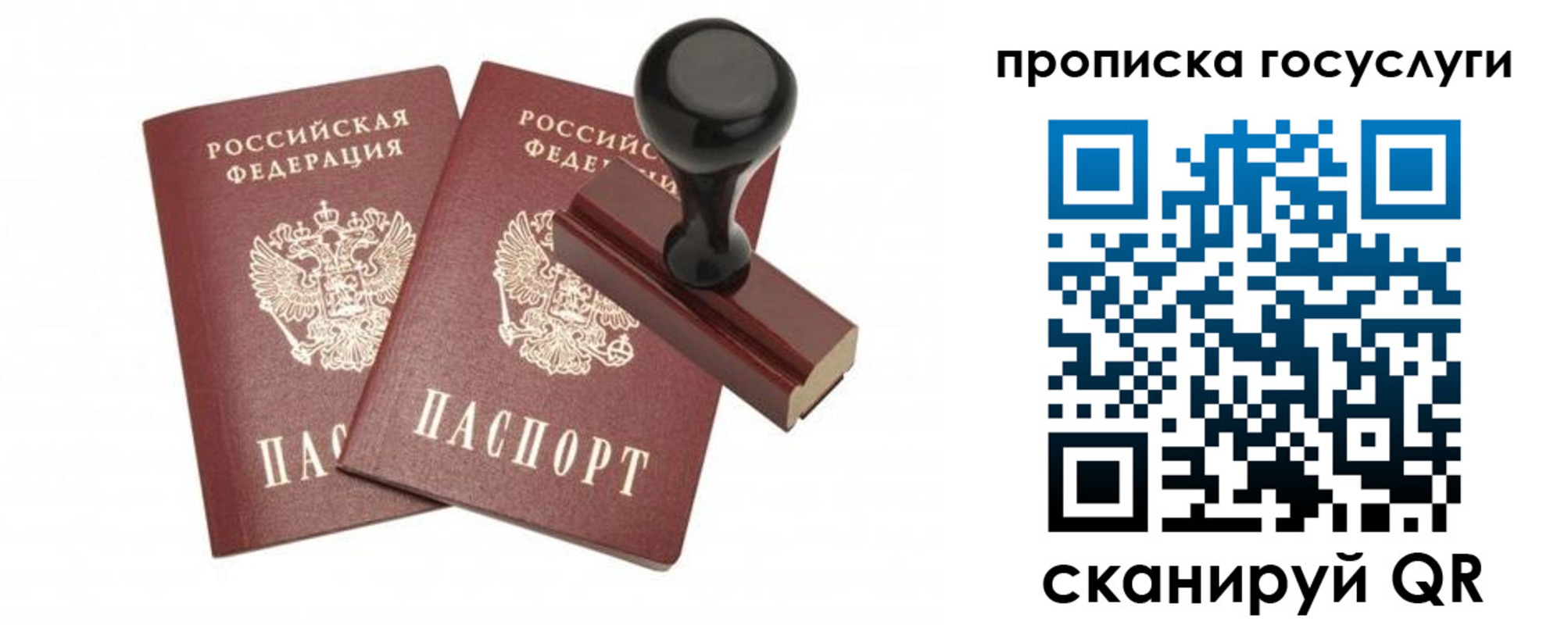временная регистрация адрес в Апатитах